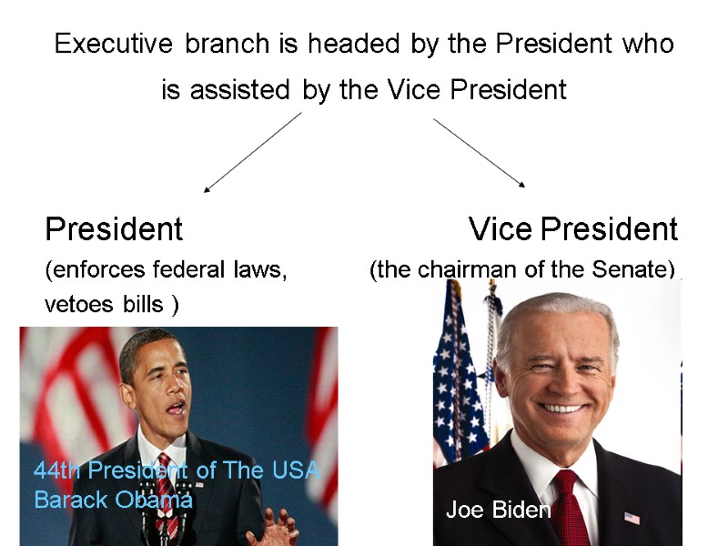 Executive branch is headed by the President who is assisted by the Vice President
